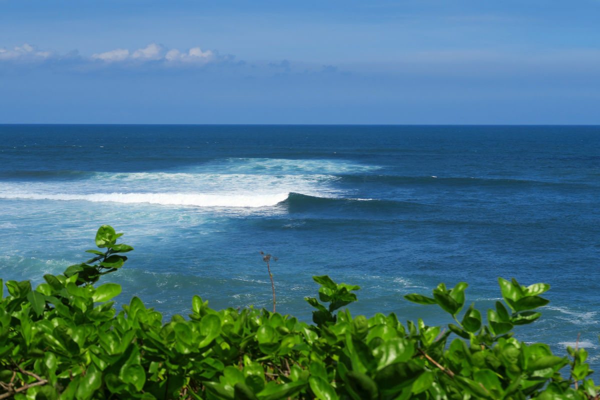 Ocean Loving Tourists Are Making Waves In Bali’s West Coast - The Bali Sun