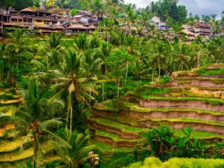 Dramatic 70m Sinkhole Is Disrupting Tourist Traffic To Popular Bali Rice Terraces