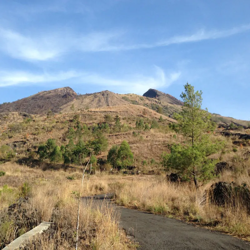 Drought-on-Slopes-Of-Mount-Batur
