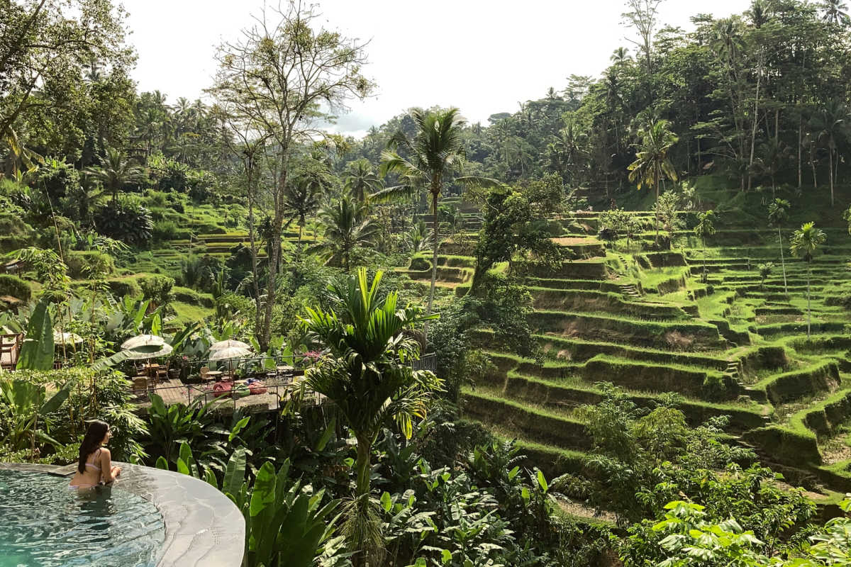 Agen perjalanan internasional acungkan jempol terhadap pajak pariwisata baru di Bali