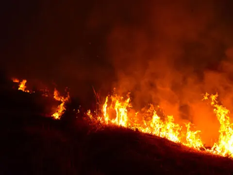 Wildfires Ravage Indonesia: Here’s What Tourists Need To Know