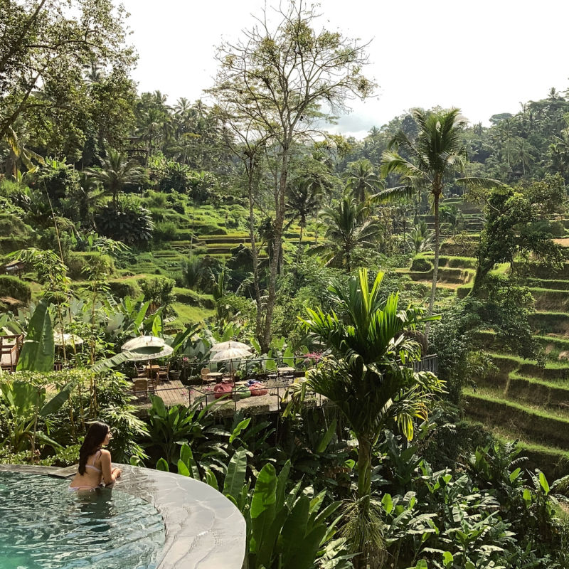 Turysta przy basenie z widokiem na tarasy ryżowe na Bali.jpg