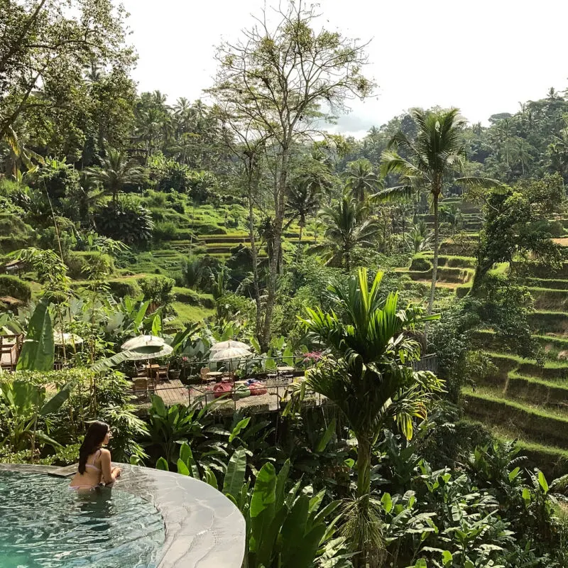 Tourist-In-Pool-Overlooking-Bali-Rice-Terraces