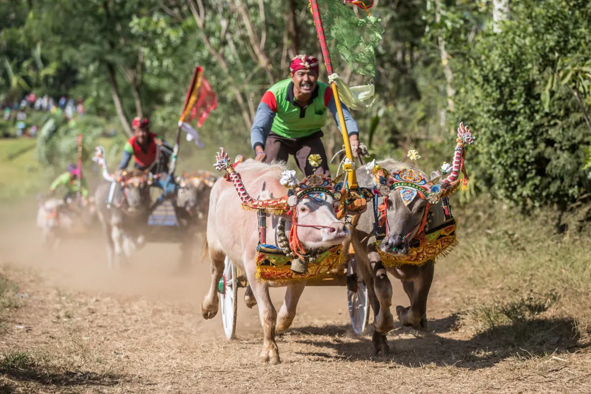 Ancient Balinese Cultural Sport To Be Promoted To Tourists