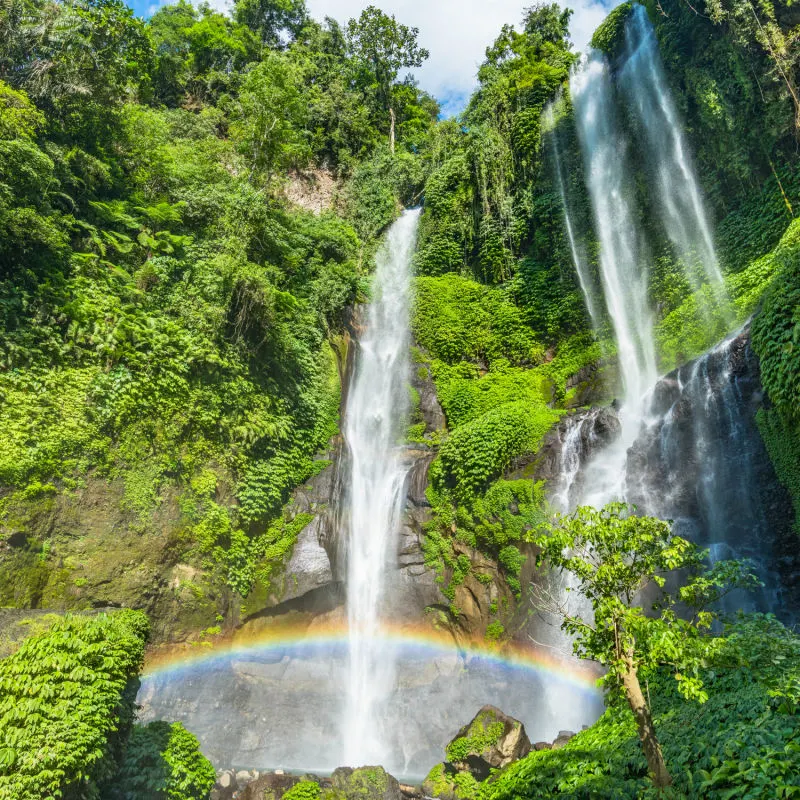 Sekumpul-Waterfall-in-Buleleng-Regency-in-Bali-jungle-waterfall-with-rainbow
