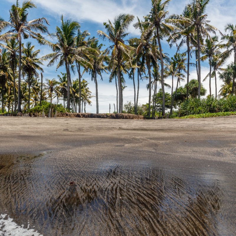 Water-washes-up-on-Seseh-Black-Sand-Beach-in-Bali-With-Palm-Trees-On-The-Land