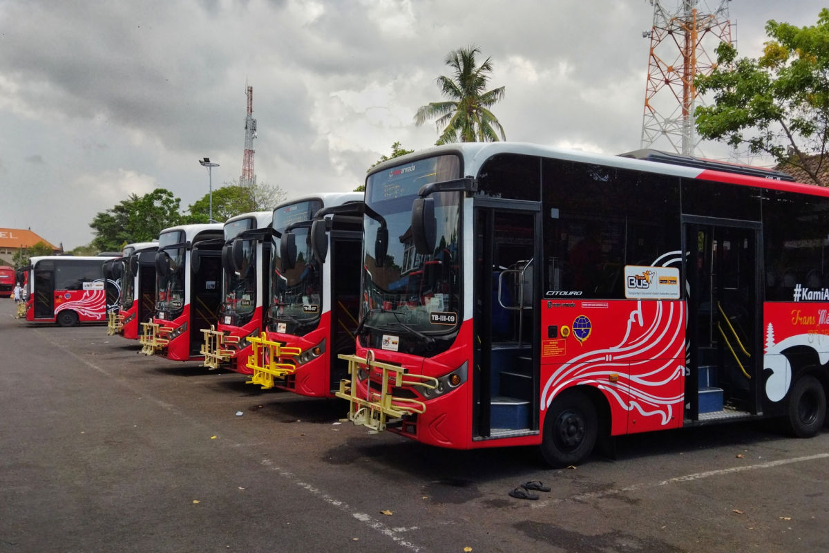 Trans Metro Dewata Buses at Bus Terminal in Bali.jpg