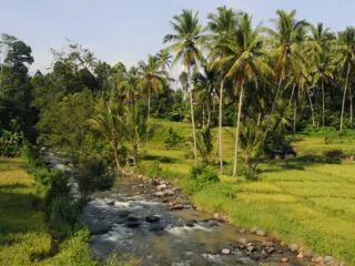 Island Wide Efforts To Clean Up Bali’s Waterways Set To Impress Tourists 