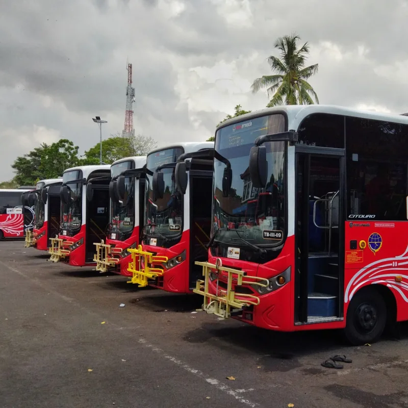 Trans Metro Dewata Buses at Bus Terminal in Bali.jpg