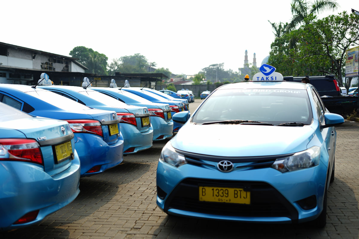 Row of Bluebird Taxis in Car Park in Bali.jpg