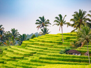 Exploring Bali On A Shoestring Is Easier Than Tourists Think .jpg