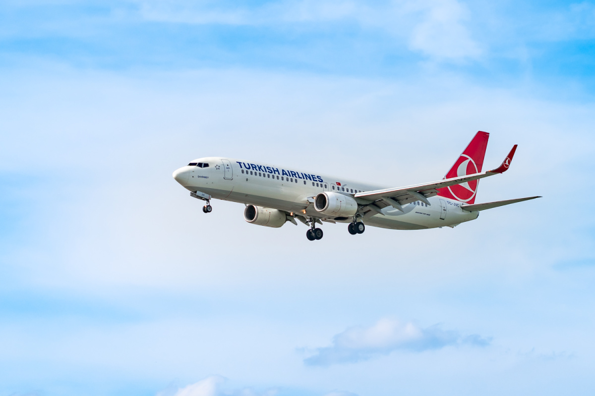 Turkish Airlines Plane in the Sky.jpg