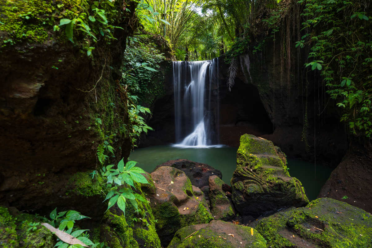 Bali Waterfall in Forest.jpg
