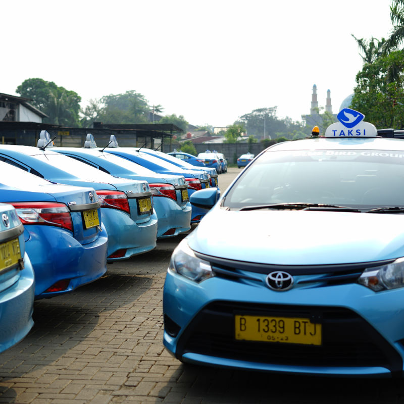 Row-of-Bluebird-Taxis-in-Car-Park-in-Bali