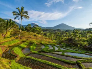 Tourist Ticket Prices Set To Increase At This Famous Bali Landmark