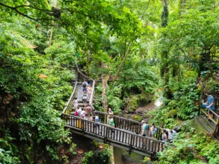 Traveler Favourite Resorts At Risk Of Overtourism Says Bali Professor