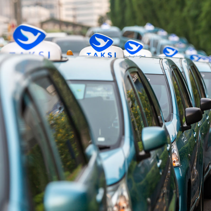 Row-of-Bluebird-Taxis-