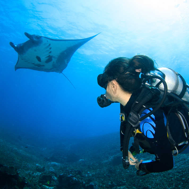 Scuba-Diver-with-Manta-Ray-in-Bali-Nusa-Isalnds