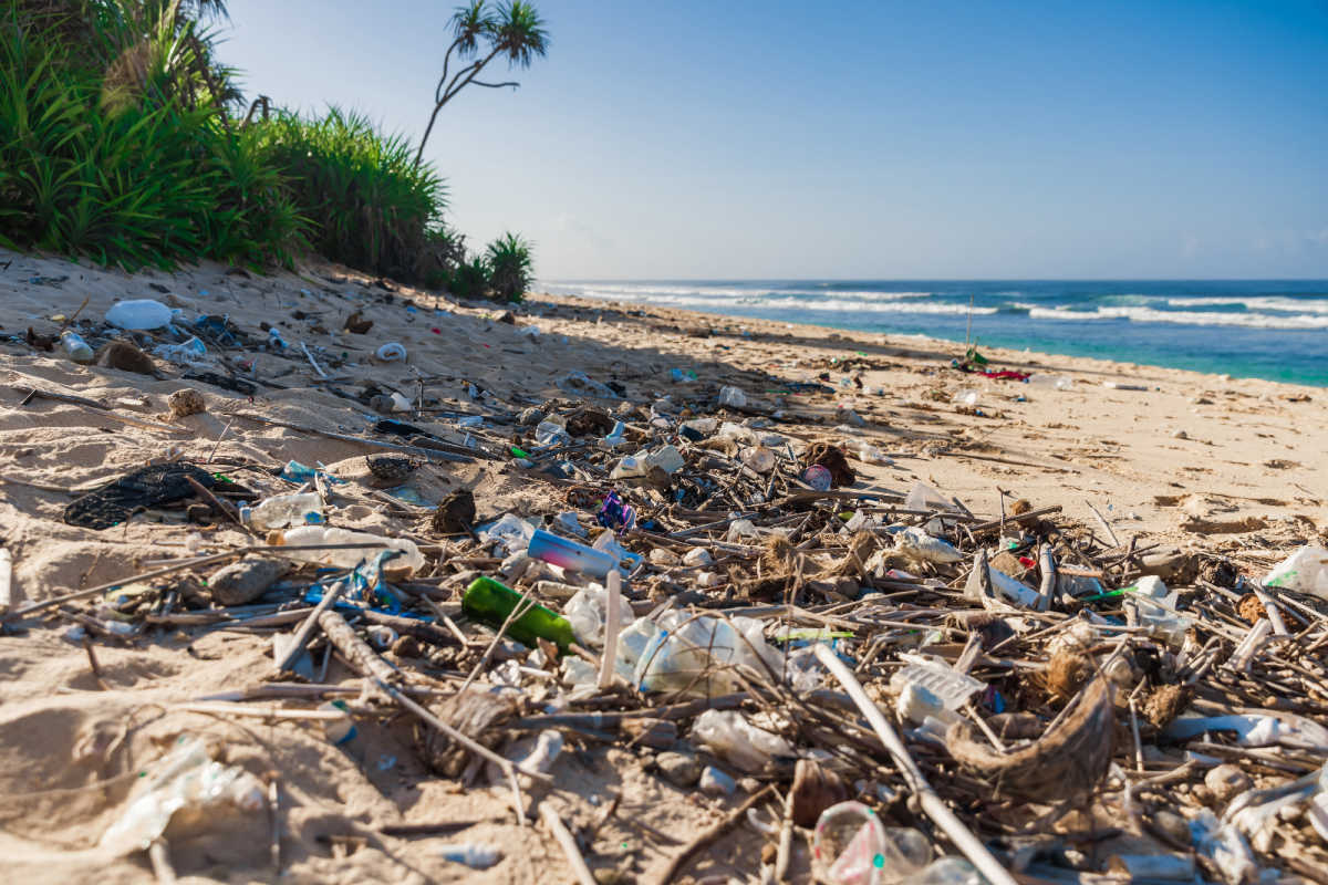 Plastic Waste Pollution on Bali Beach.jpg