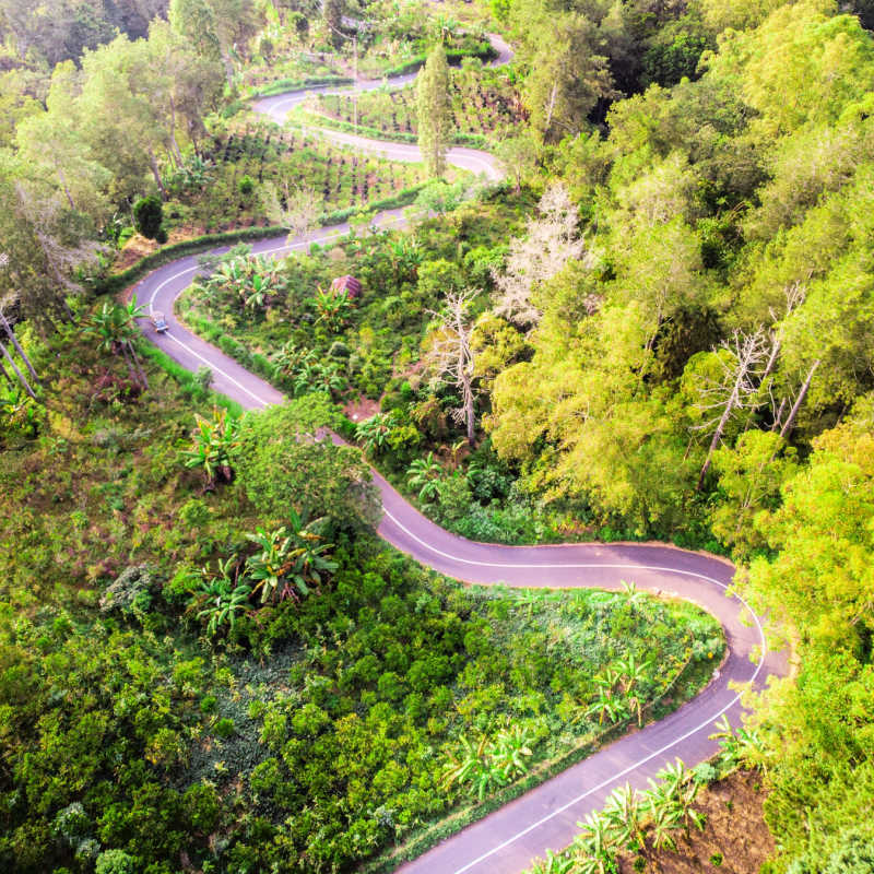 Winding-Road-in-Kintamani-Forest-in-Bali