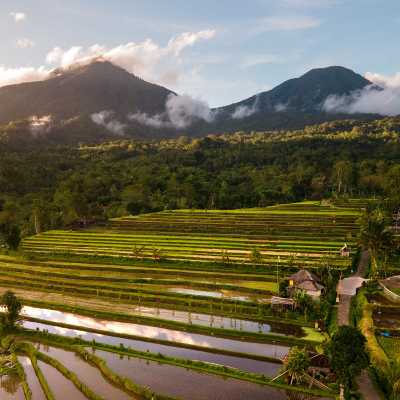 Ariel-View-Of-Jatiluwah-Rice-Terraces-Bali-1