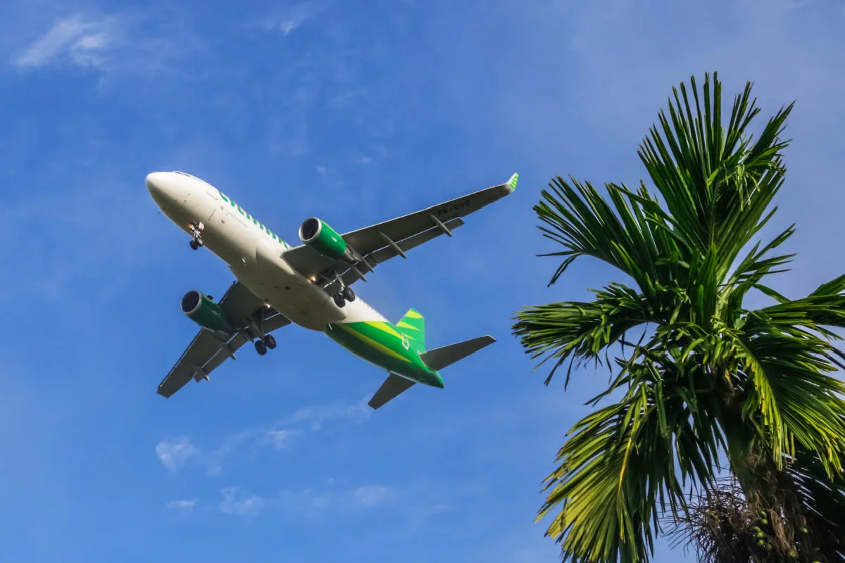 Citilink Plane Flies Over Tree.jpg
