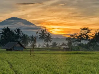 Bali Tragedy Reminder For Tourists To Hike With Guides In Bali