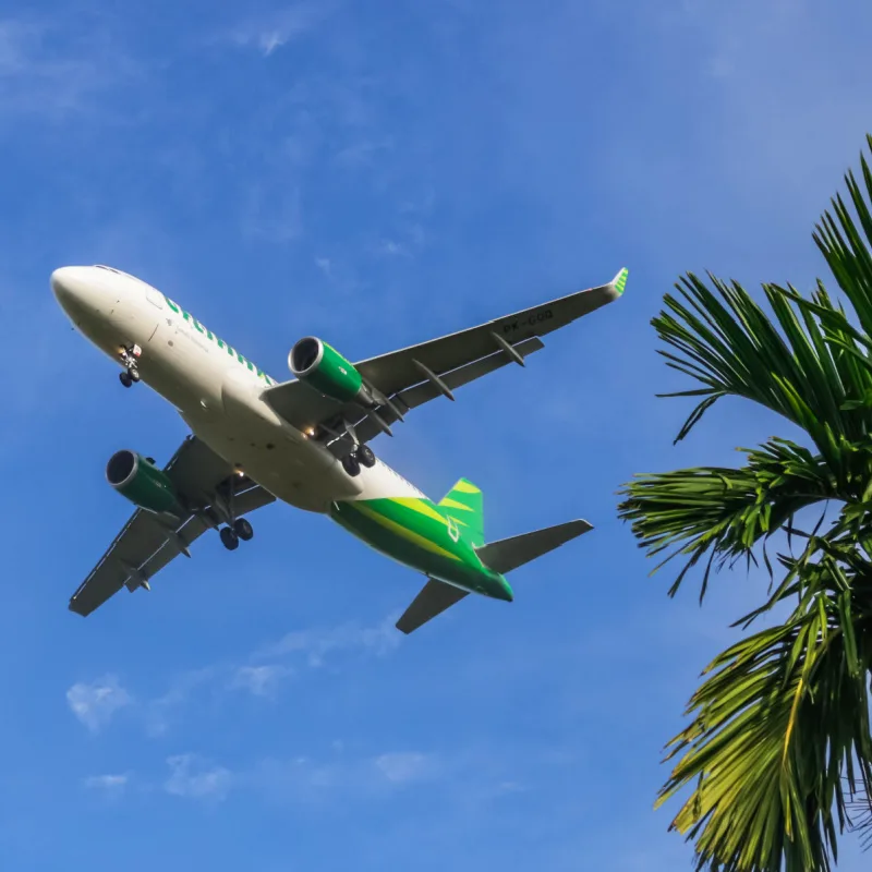 Citilink-Plane-Flies-Over-Tree