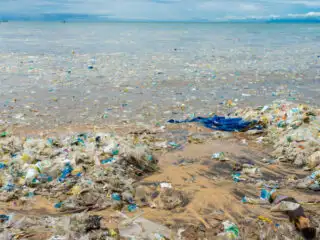 Huge Efforts Ensure Bali’s Beaches Are Clean For Tourists