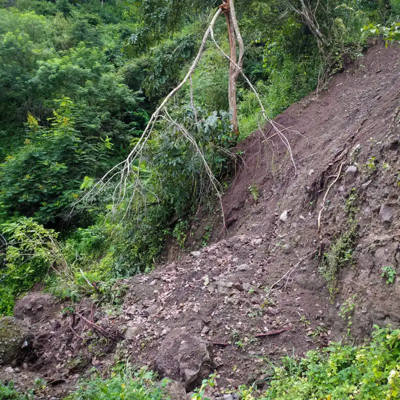 Landslide-in-Jungle-Forest-Area-Due-To-Bad-Weather-in-Bali