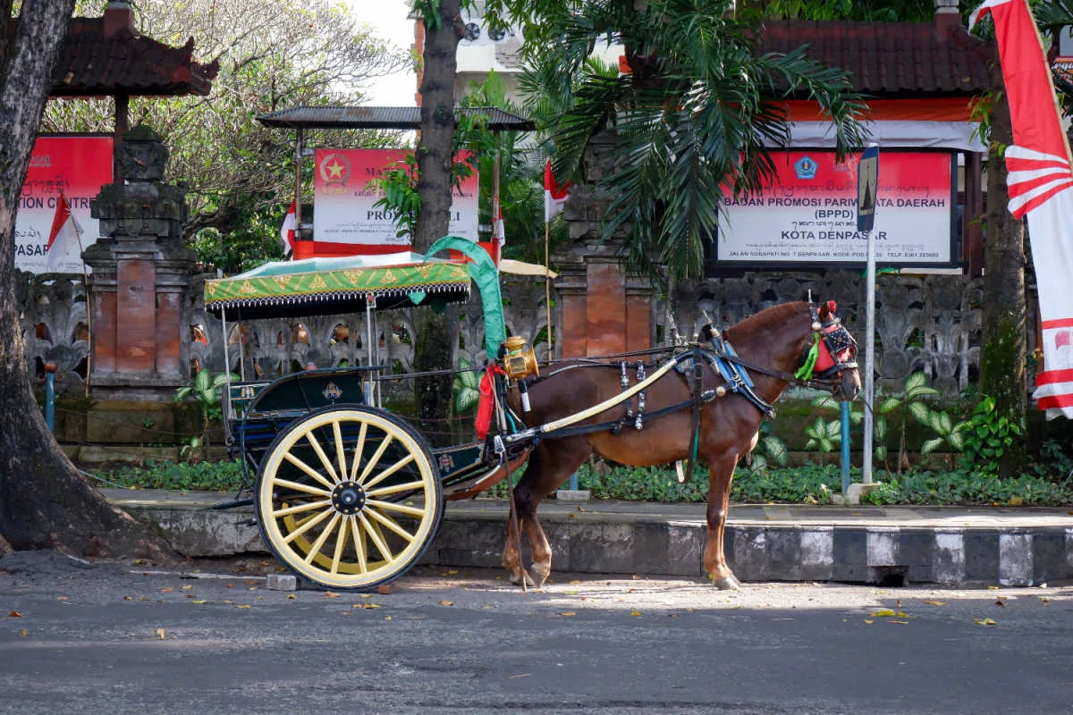 Horse and cart in Denpasar Bali