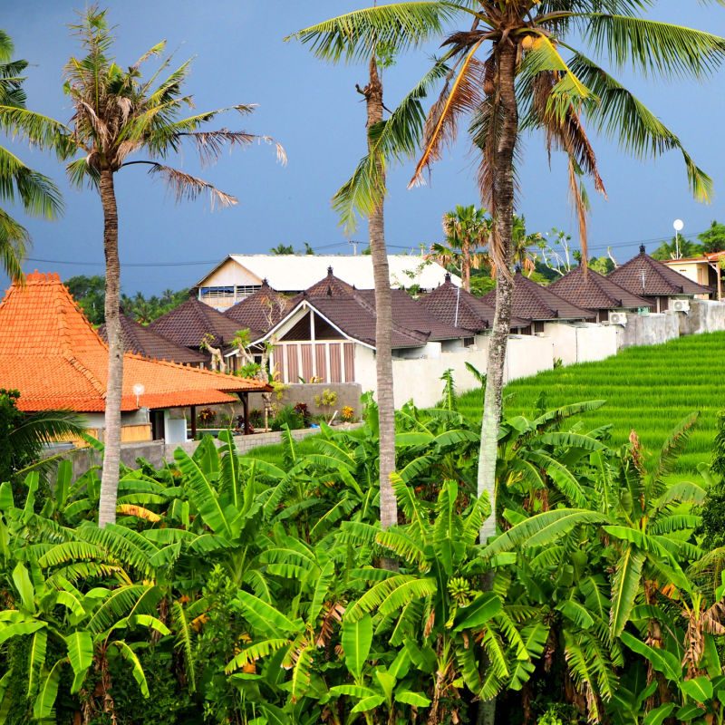 New-villas-and-apartments-by-rice-paddie-in-Bali