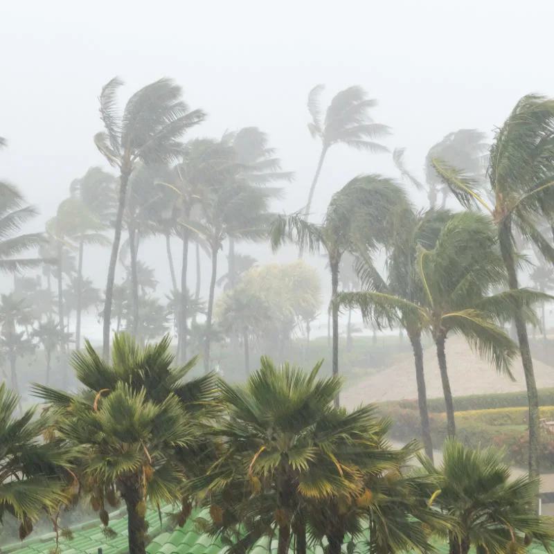 Storm-in-Bali-Over-Palm-Trees-Rain