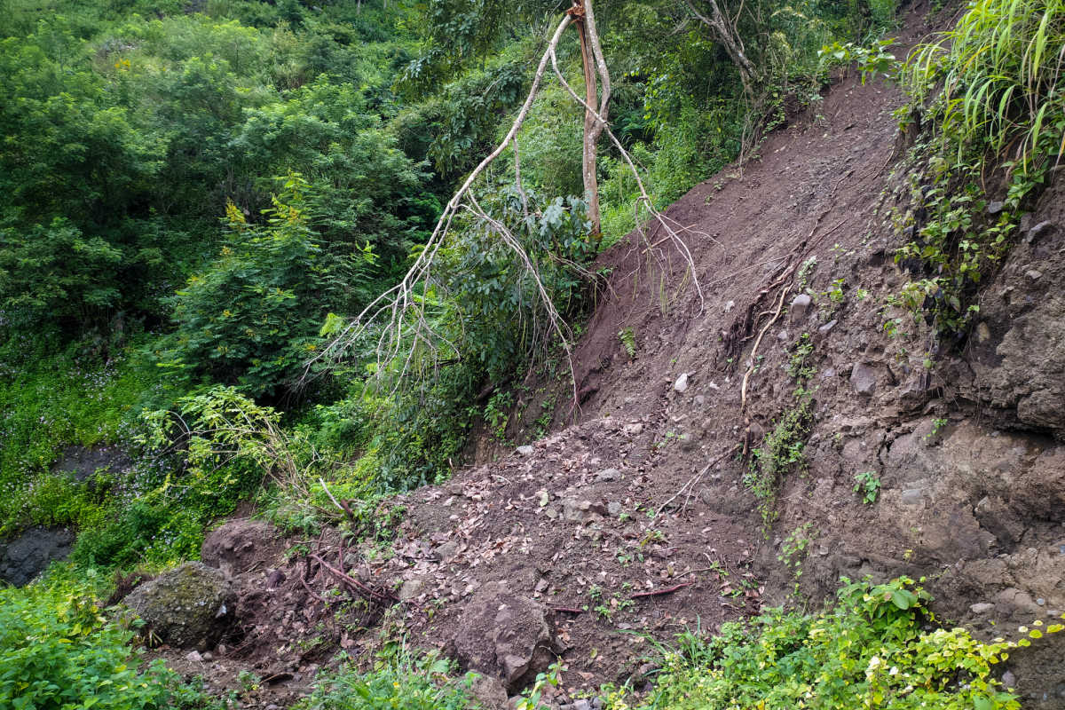 Landslide in Jungle Forest Area Due To Bad Weather in Bali.jpg