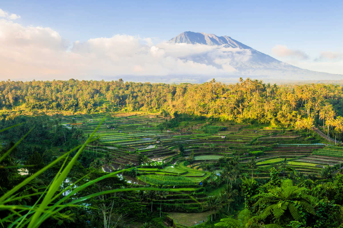 View Of Mount Agung and Rice Terraces Paddies in Rural Bali.jpg