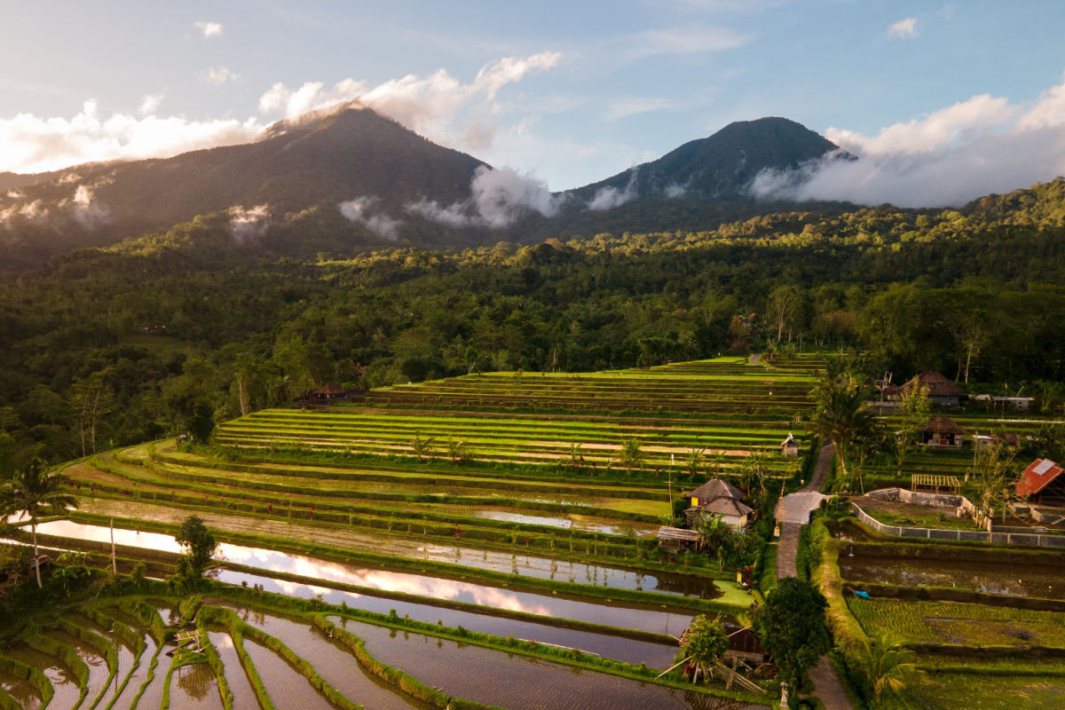 Wisatawan dapat terbang dari Bali dalam petualangan berkecepatan tinggi melintasi Indonesia