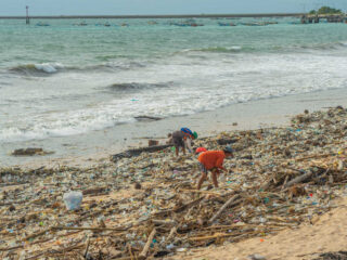 Tourists Join Collective Efforts To Clean Bali’s Beaches