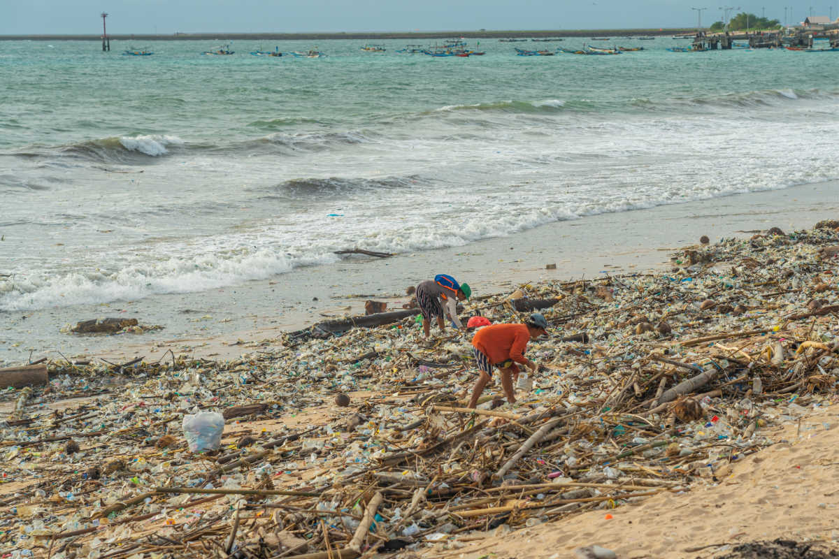 Turyści łączą siły, aby oczyścić plaże Bali