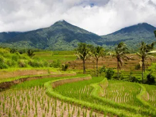 Tourists Really Do Need Guides To Hike Bali&rsquo;s Mountains&nbsp;