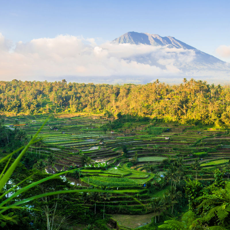 View-Of-Mount-Agung-and-Rice-Terraces-Paddies-in-Rural-Bali