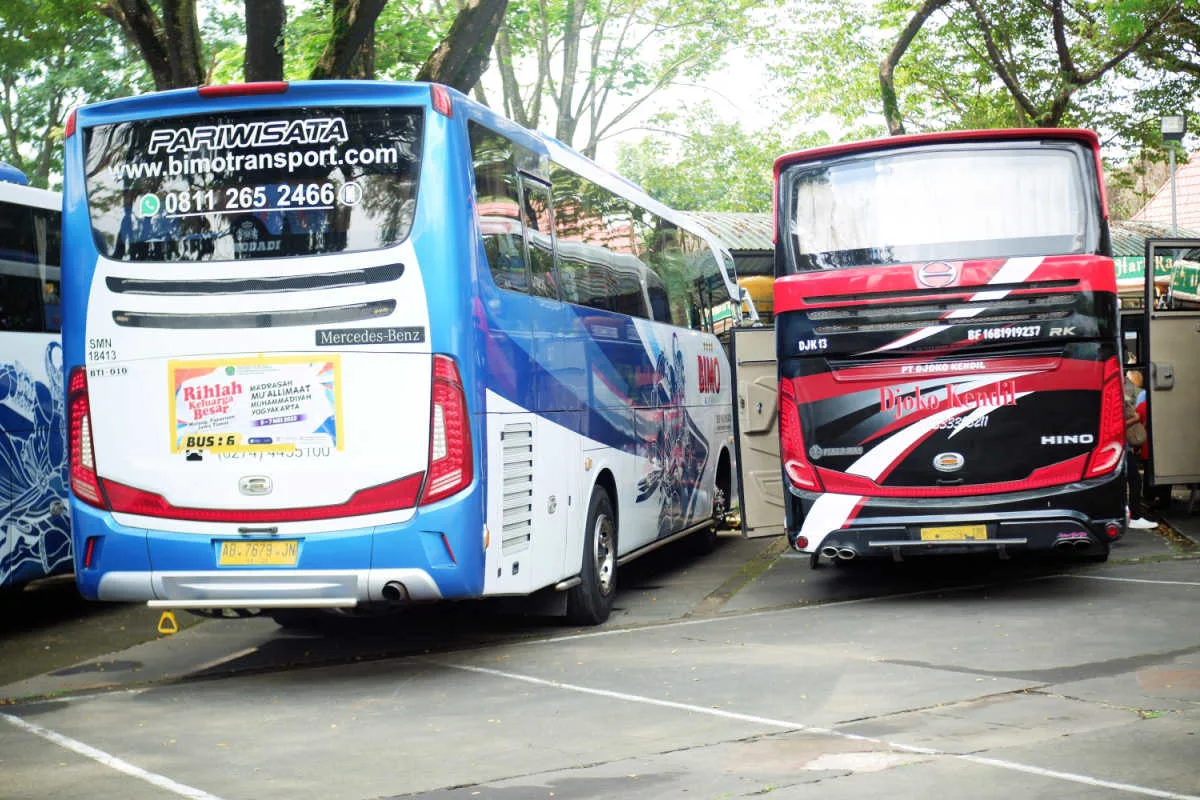 Bus tourists at parking lot.jpg