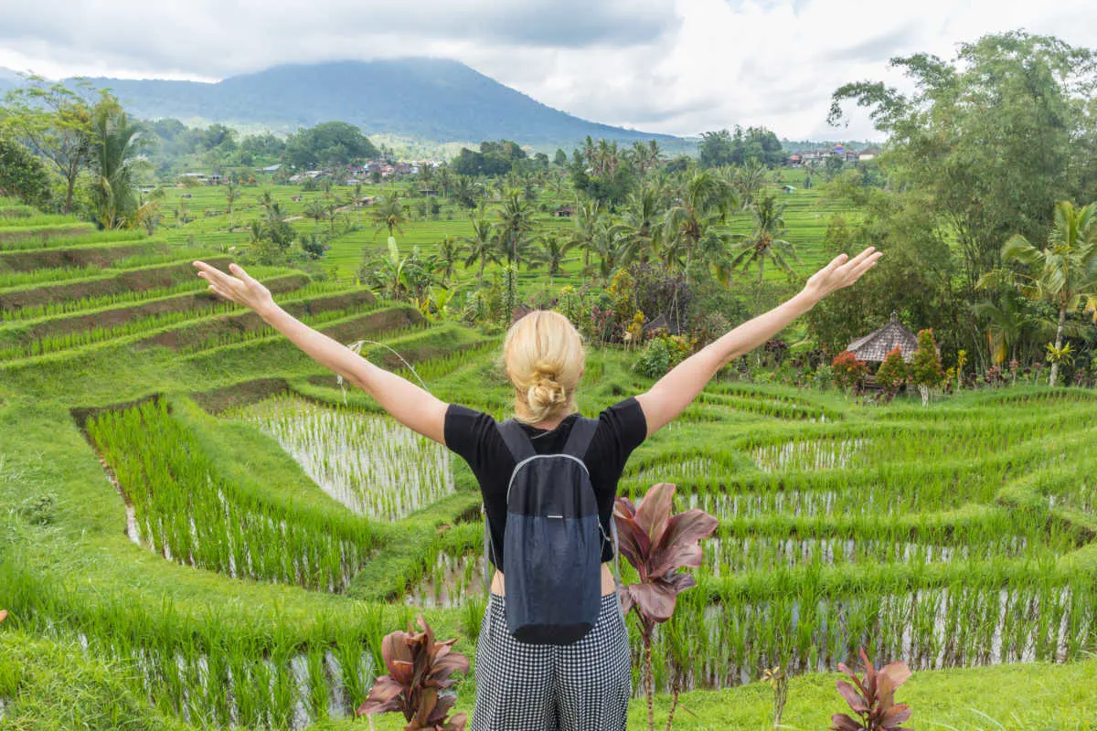 Tourist stand in front of rice paddie.jpg
