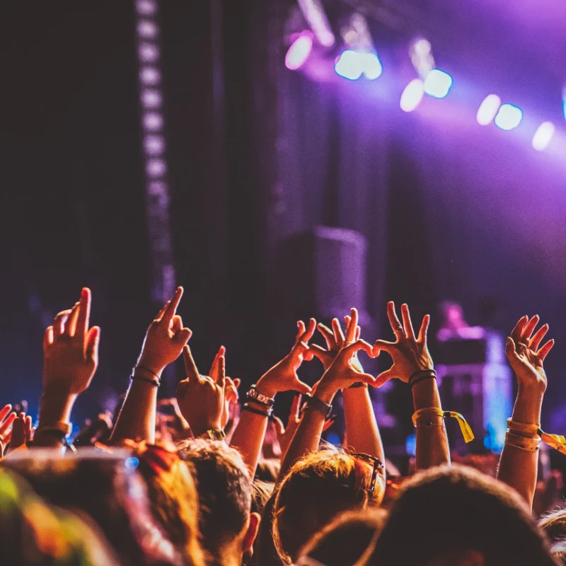 Live-Music-Festival-Concert