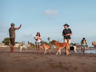 Mass Vaccinations Set To Curb Rabies Outbreaks In Bali&rsquo;s Tourist Resorts&nbsp;