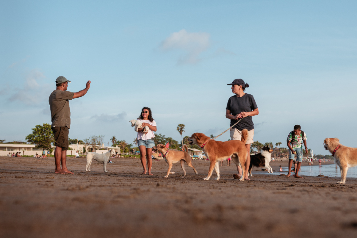 Dog walkers on Bali Beach
