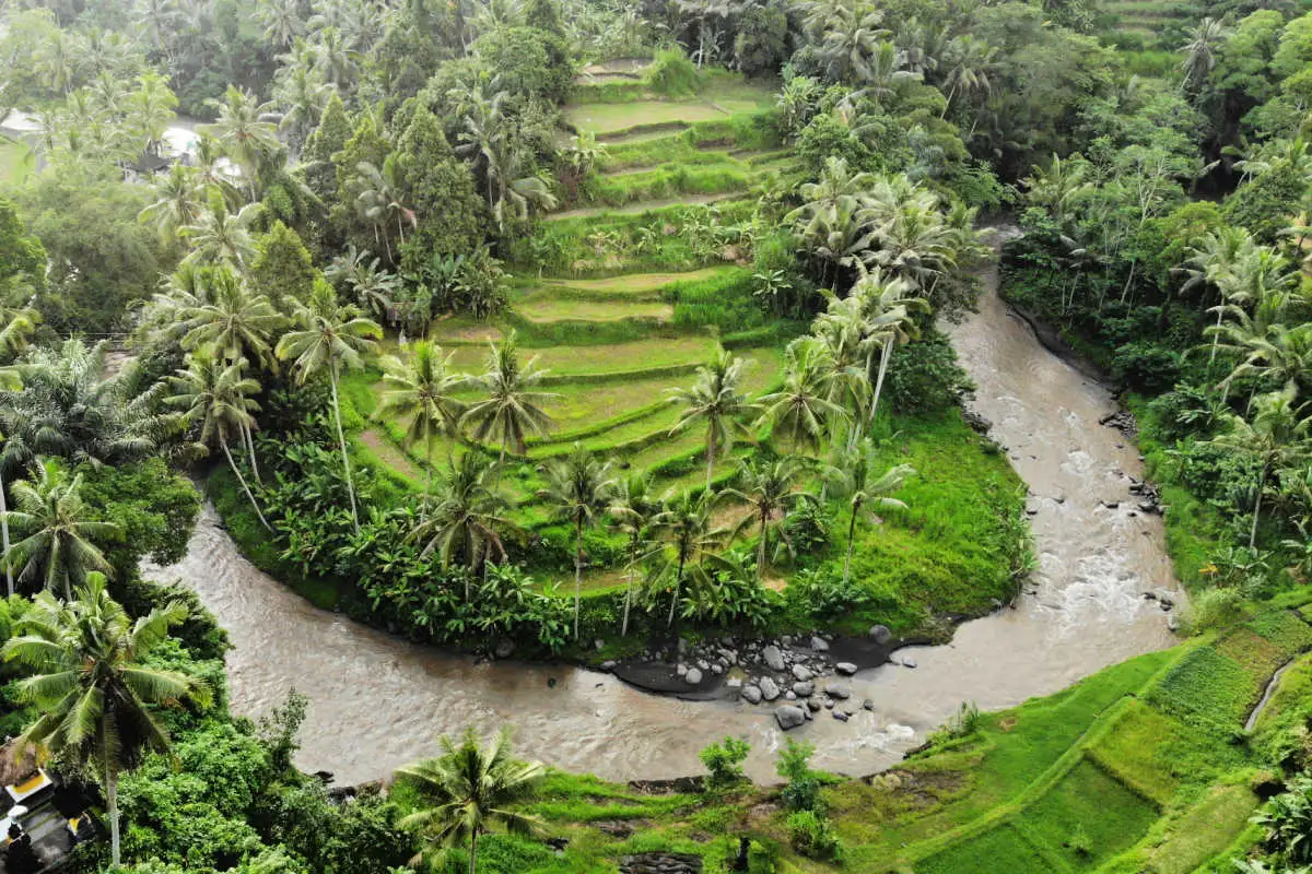 Ariel View Of Ayung River in Ubud.jpg