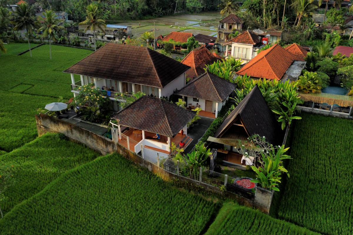 Villa In Rice Paddies in Bali.jpg