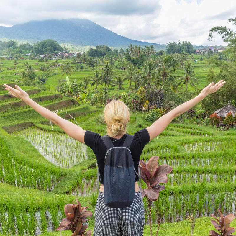 Tourist stand in front of rice paddie.jpg