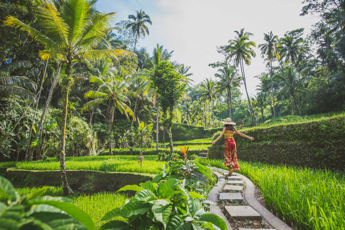Woman At Rice Terraces in Bali.jpg