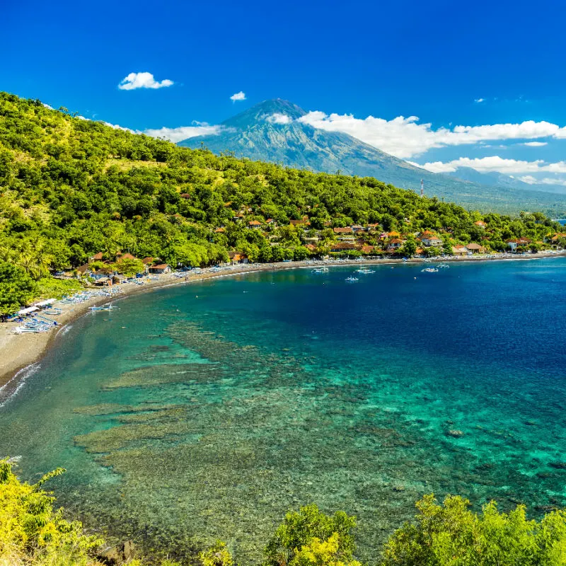 View-of-Amed-In-Sunshine